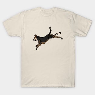 Coated Xoloitzcuintli T-Shirt